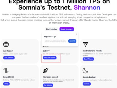 Somnia测试网零撸积分教程