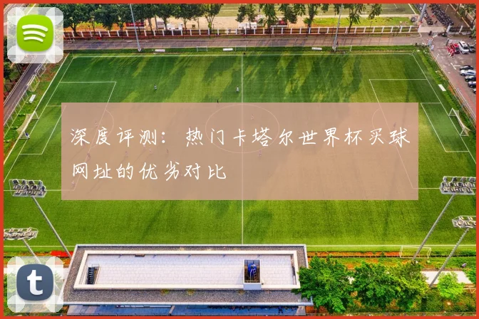 深度评测：热门卡塔尔世界杯买球网址的优劣对比